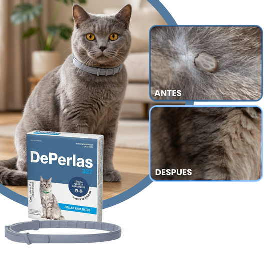 Collar para gatos Anti pulgas y Garrapatas - DePerlas