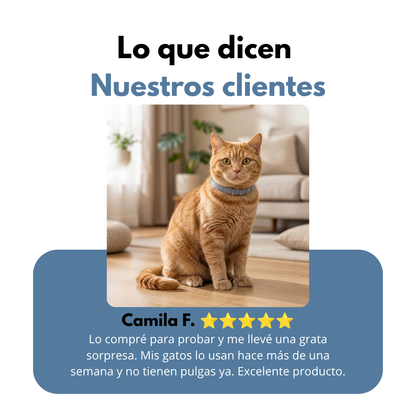 Collar para gatos Anti pulgas y Garrapatas - DePerlas